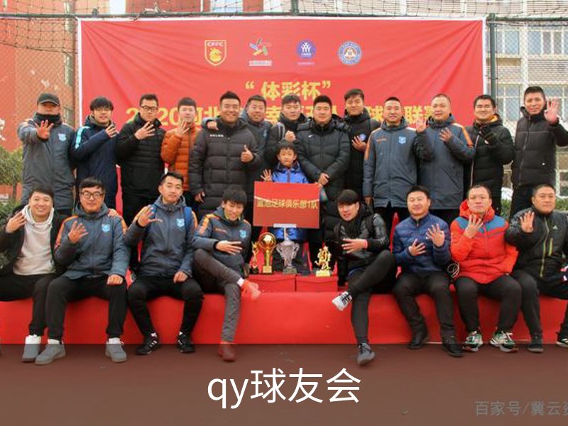 关于qy球友会